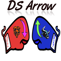 DS Arrow