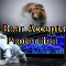 BearAcceptsProtection