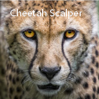 Cheetah Scalper