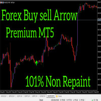 Forex Buy Sell Arrow Premium MT5