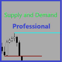 Supply and Demand Professional