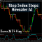 Step Index steps Revealer AI