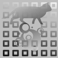 FIA Algorithm Fate