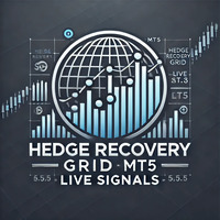 Hedge Recovery Grid MT5