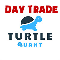 Turtle Day Trading