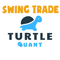 Turtle Swing Trade