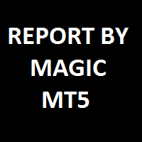 Report By Magic MT5