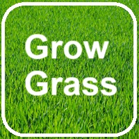 Grow Grass