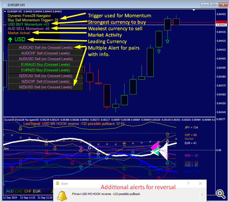 Display Dynamic Forex28 Navigator