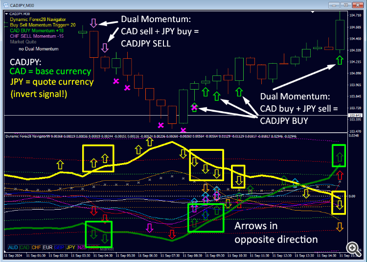 Dynamic Forex28 Navigator