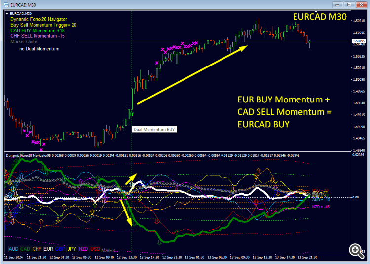 Dynamic Forex28 Navigator
