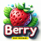 Berry EURUSD h1 MT5