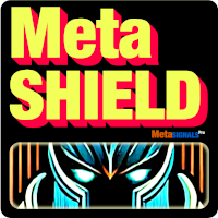 MetaShield EA MT5