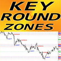 Key Round Zones mr