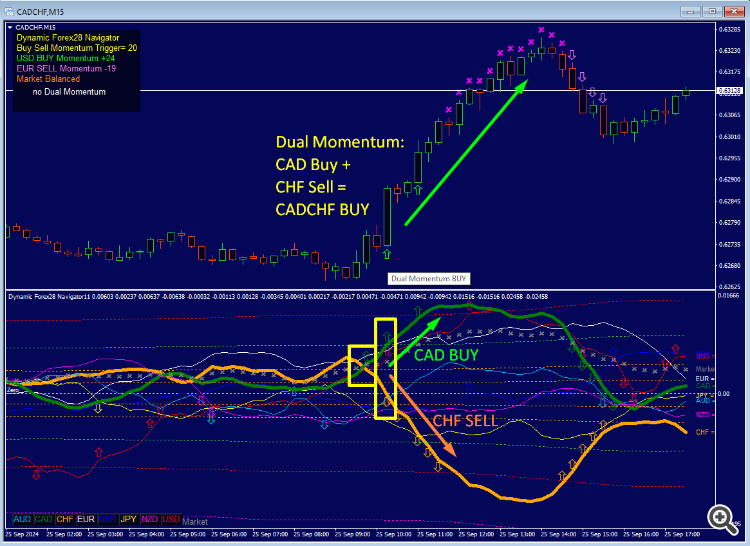 Dynamic Forex28 Navigator