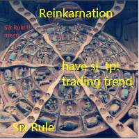 Reinkarnation MT5