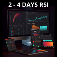 Two Four Day RSI Strategy