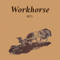 Workhorse mt5