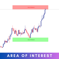 Area of Interest MT5