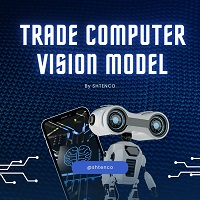 Computer Vision Model