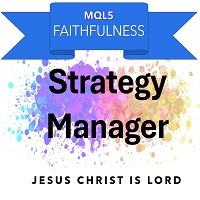 Faithfulness Strategy Manager