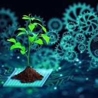 Green Finance AI