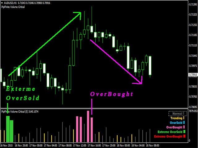 c code histogram 'PipFinite Critical Buy Volume MT5' the Technical