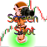 ScreenShot Automatic