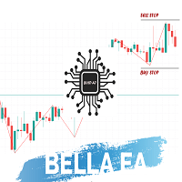 Bella Scalper