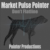 Market Pulse Pointer MT5