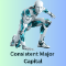 Consistent Major Capital