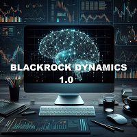 Black rock Dynamic