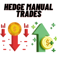 Hedge Manual Trades