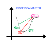 Hedge DCA Master MT5