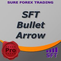 SFT Bullet Arrow