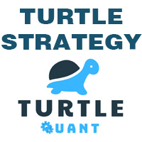 Turtle System