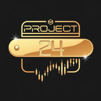 Project 24