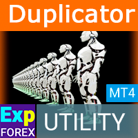 Exp4 Duplicator