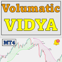 Volumatic VIDyA MT4