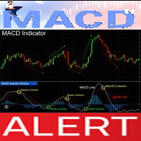 MACD Alerts