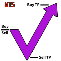 Hedge Unhedge MT5