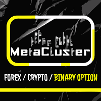 MetaCluster