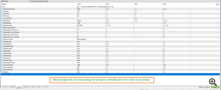 BitCoint Scalper no.1 Ea input