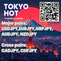 Tokyo Hot MT5