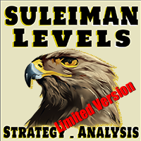 Suleiman Levels limited