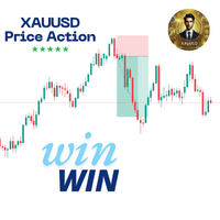 Gold Price Action Master