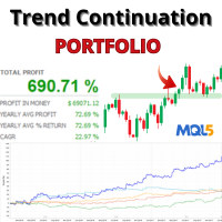 Trend Continuation Portfolio