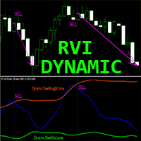 RVI with Dynamic OSB zones m