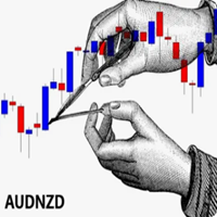 ScalpingTraderAUDNZD