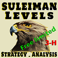 Suleiman Levels limited